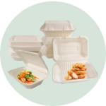 Bagasse Products