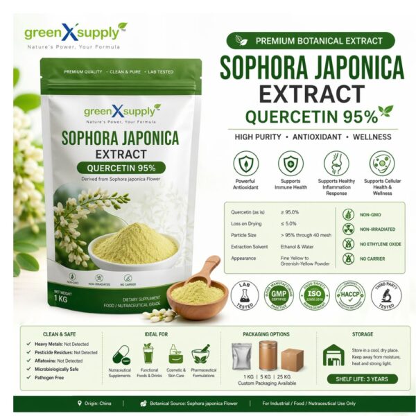 🧪 Sophora Japonica Extract (Quercetin 95%) – Premium Antioxidant Powder